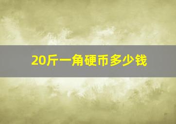 20斤一角硬币多少钱