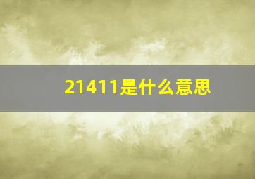 21411是什么意思