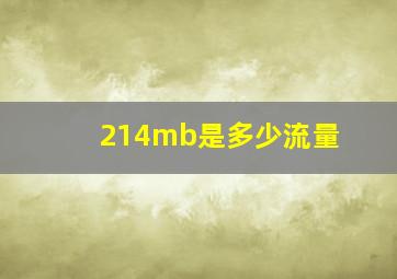 214mb是多少流量