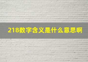 218数字含义是什么意思啊