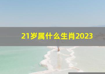 21岁属什么生肖2023