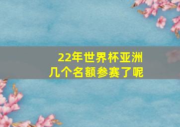 22年世界杯亚洲几个名额参赛了呢