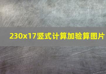 230x17竖式计算加验算图片