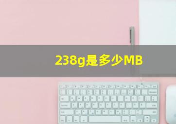 238g是多少MB