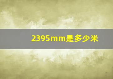 2395mm是多少米