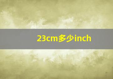 23cm多少inch