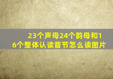 23个声母24个韵母和16个整体认读音节怎么读图片