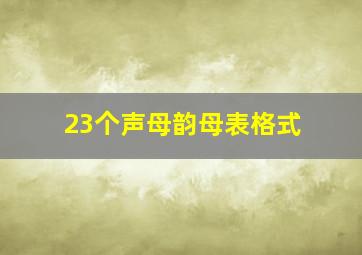 23个声母韵母表格式