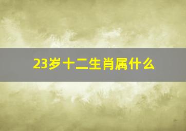 23岁十二生肖属什么