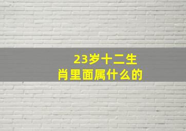 23岁十二生肖里面属什么的