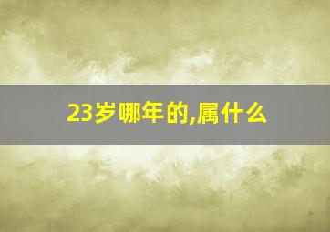 23岁哪年的,属什么