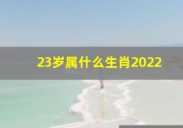 23岁属什么生肖2022