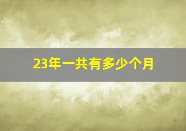 23年一共有多少个月