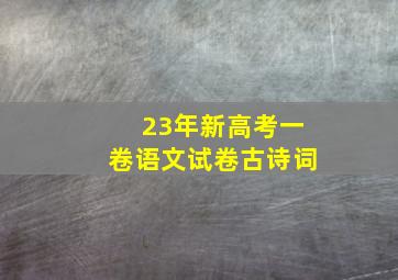 23年新高考一卷语文试卷古诗词