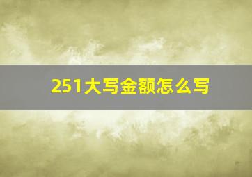 251大写金额怎么写