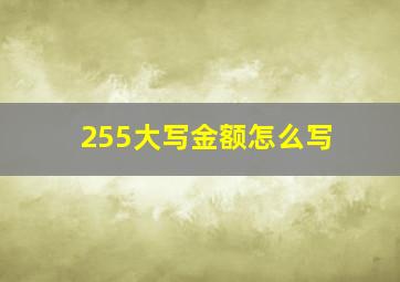 255大写金额怎么写