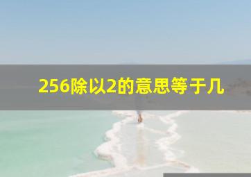 256除以2的意思等于几