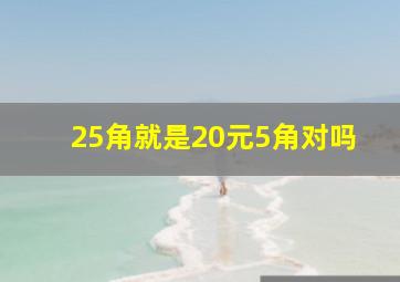 25角就是20元5角对吗