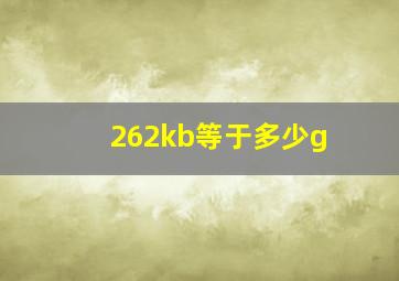 262kb等于多少g