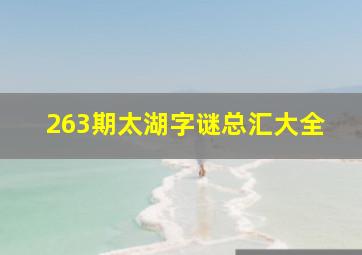 263期太湖字谜总汇大全