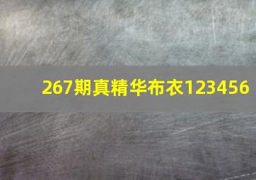 267期真精华布衣123456