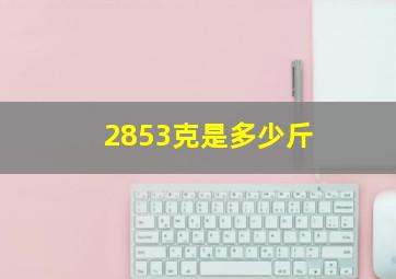 2853克是多少斤