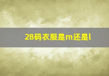 28码衣服是m还是l