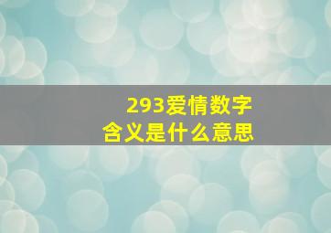 293爱情数字含义是什么意思