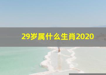 29岁属什么生肖2020