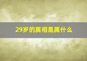 29岁的属相是属什么