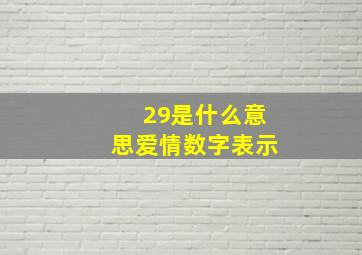 29是什么意思爱情数字表示