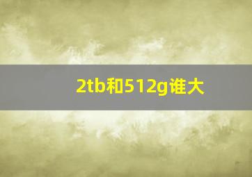 2tb和512g谁大