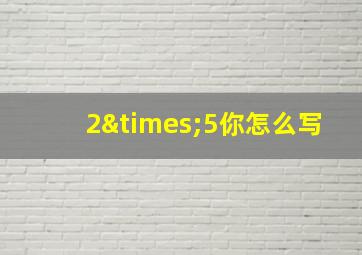 2×5你怎么写