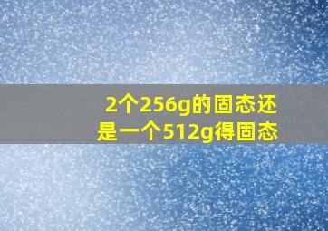 2个256g的固态还是一个512g得固态