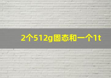 2个512g固态和一个1t