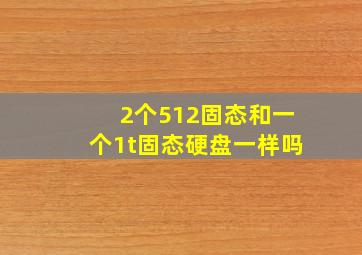 2个512固态和一个1t固态硬盘一样吗