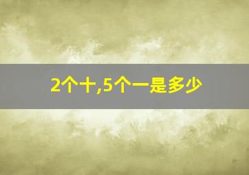 2个十,5个一是多少