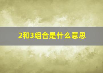 2和3组合是什么意思