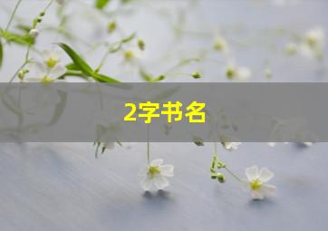 2字书名