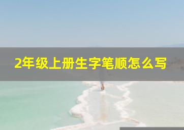 2年级上册生字笔顺怎么写