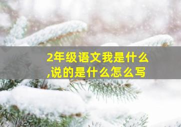 2年级语文我是什么,说的是什么怎么写