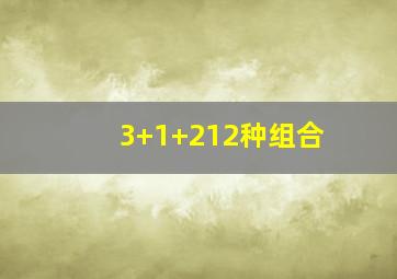 3+1+212种组合