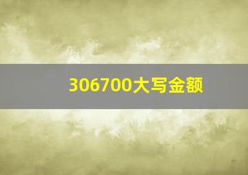 306700大写金额