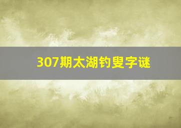 307期太湖钓叟字谜