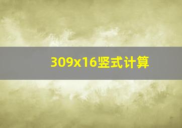 309x16竖式计算