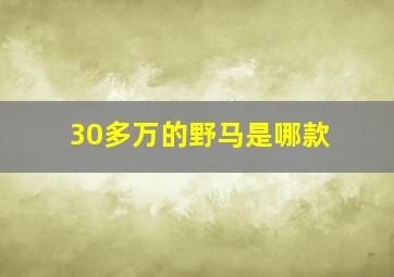 30多万的野马是哪款