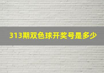 313期双色球开奖号是多少