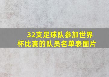 32支足球队参加世界杯比赛的队员名单表图片