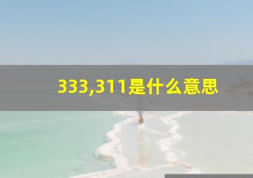 333,311是什么意思