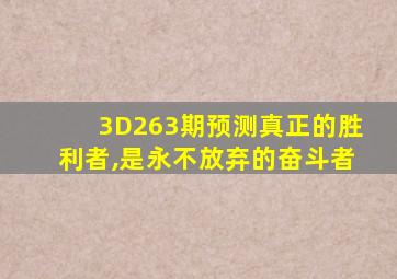 3D263期预测真正的胜利者,是永不放弃的奋斗者